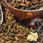 روش های کاشت جلغوز