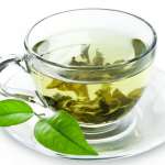 نحوه کاشت چای سبز و فرآوری آن