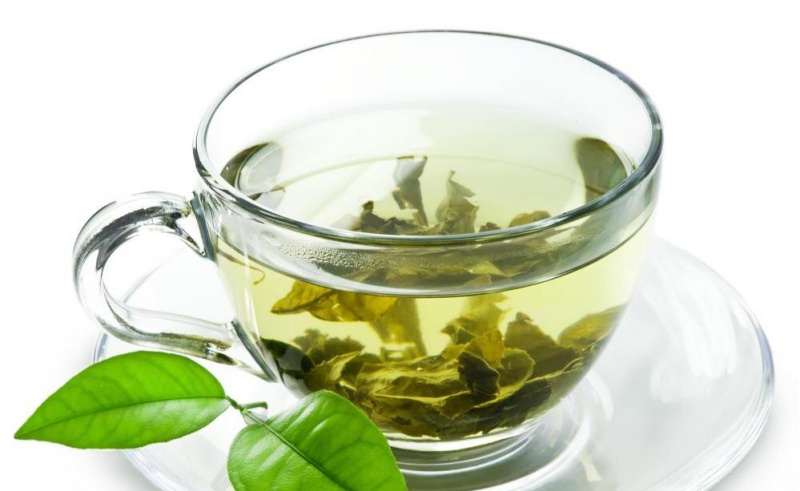 نحوه کاشت چای سبز و فرآوری آن